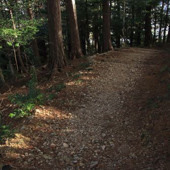 つづら折れを降る🥾