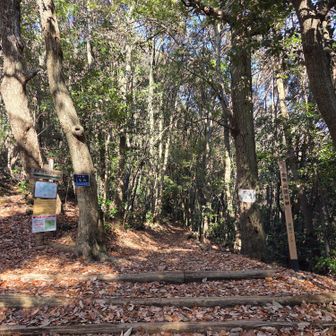 唐釜ハイキングコースです！