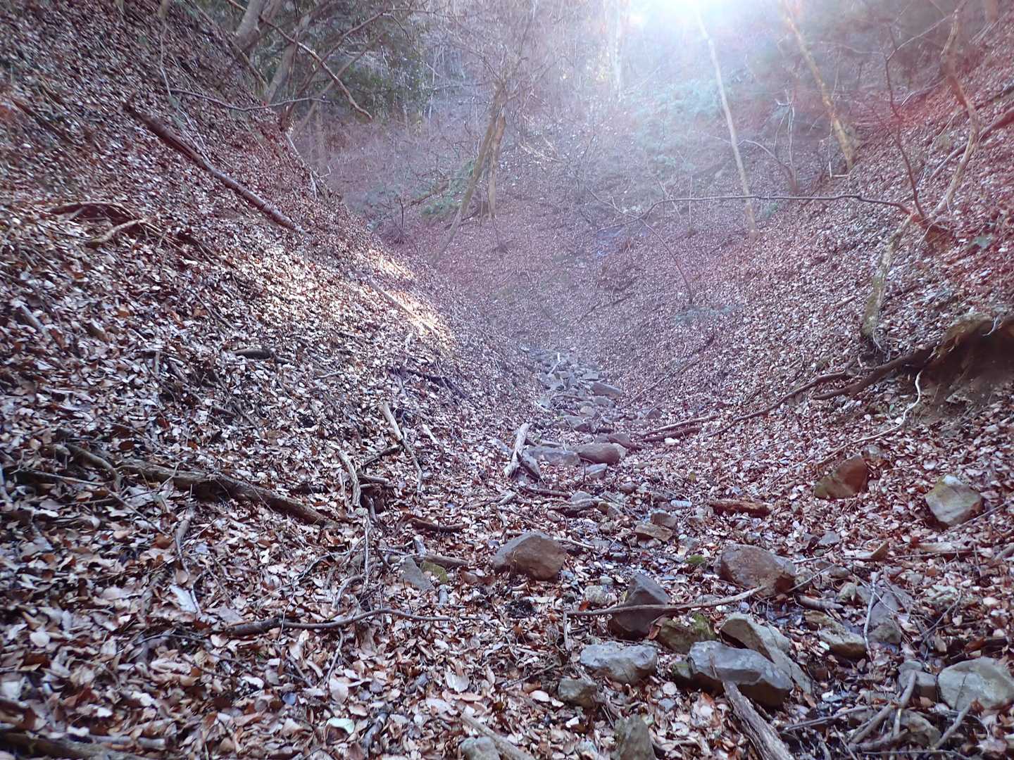 左側の斜面をトラバースしてきました
落ち葉で踏み跡薄い