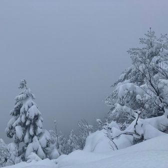 なにも見えません😂