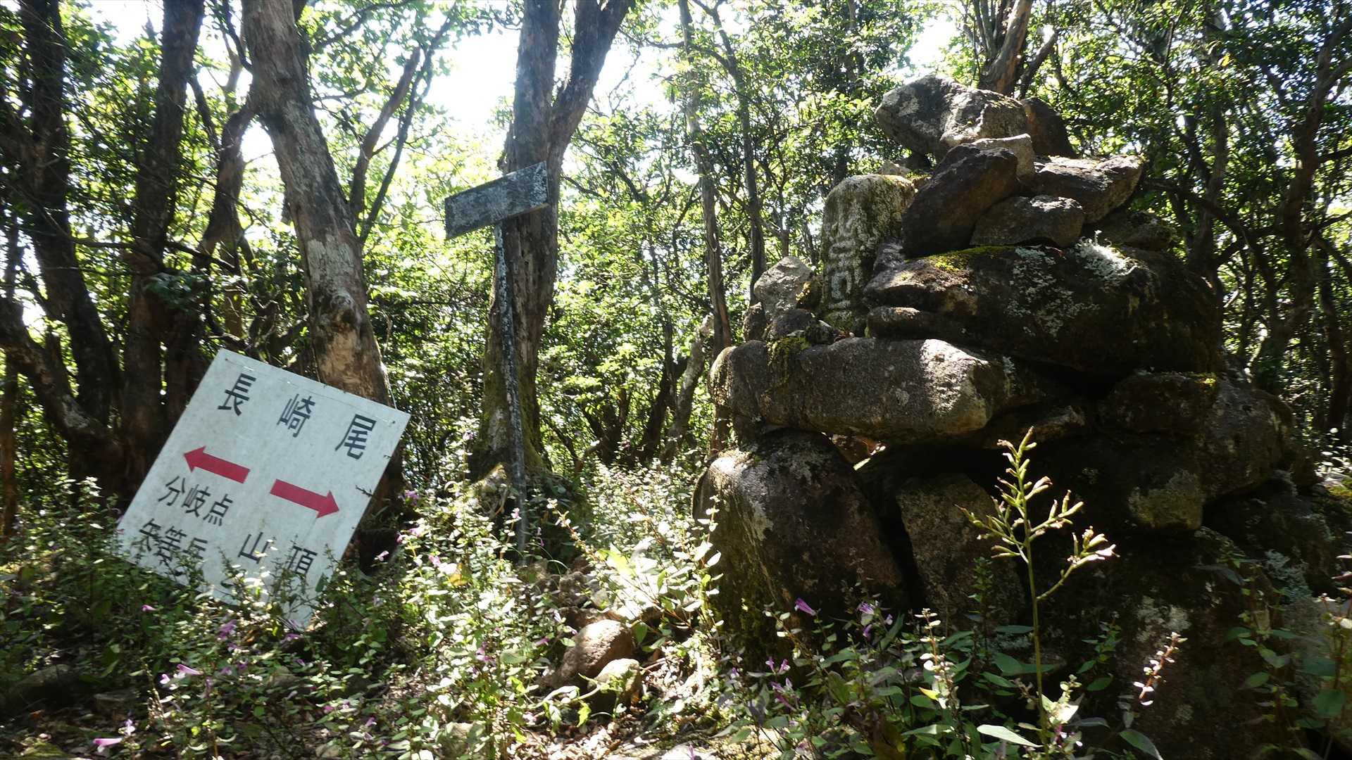 長崎尾に到着
周回コース分岐へ