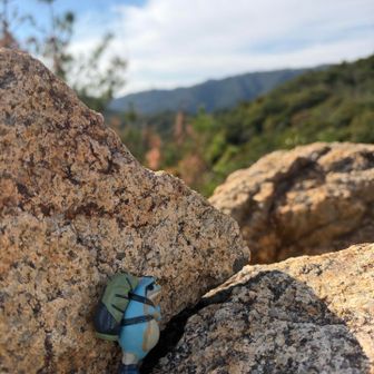 いつも一緒なんやけど、撮ってあげるの忘れるねん、ゴメン