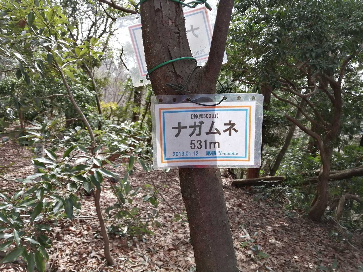１つ目ナガムネ到着