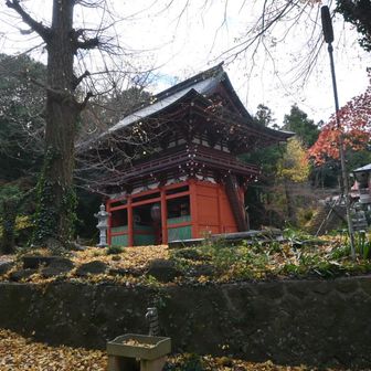 山頂近くには神社が。