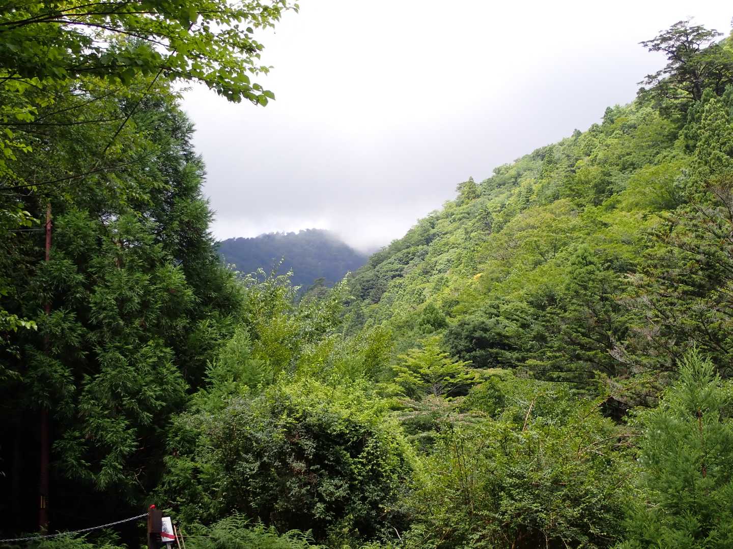 ガスはなく安全に降りてこれました
山頂はガスってますね