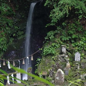 琵琶滝の水量もふだんより多いようです