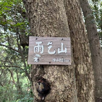 こちもあれは嫌‼️