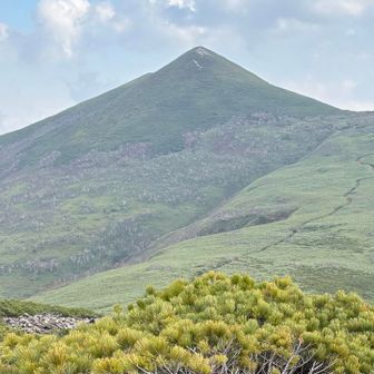 このクネクネ登山道が湿原河川に見えるという釣りバカ🤣(3人とも釣りします)