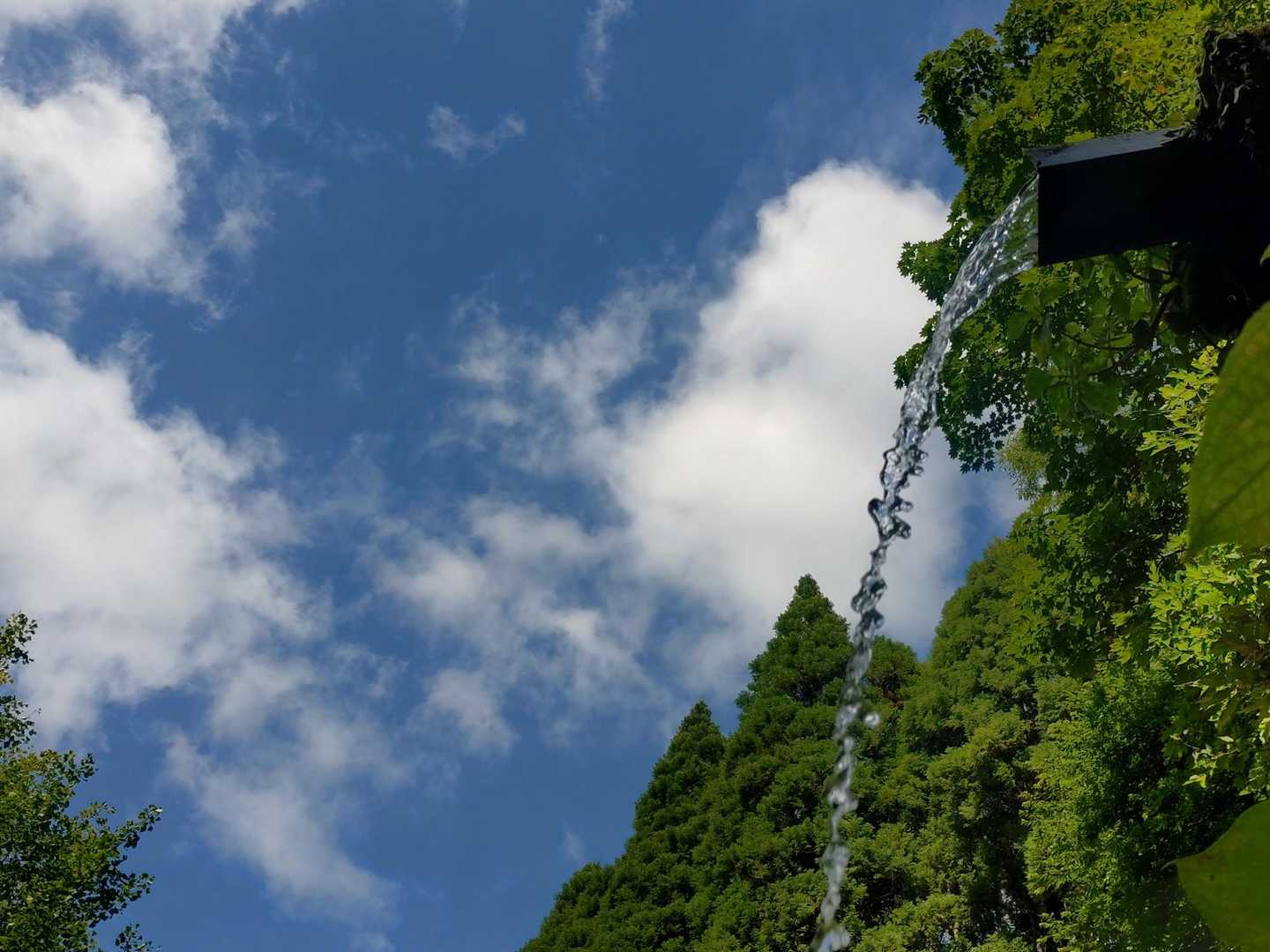 でももちろん暑い！
この周回コースにしたおかげで、水場がありました🌊タオルを濡らしてタオルから頭にぶしゃーｯ🤗生き返る～!!!