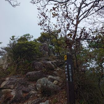 今日は午前中は雨。午後から曇り。縦走路は雲の中。