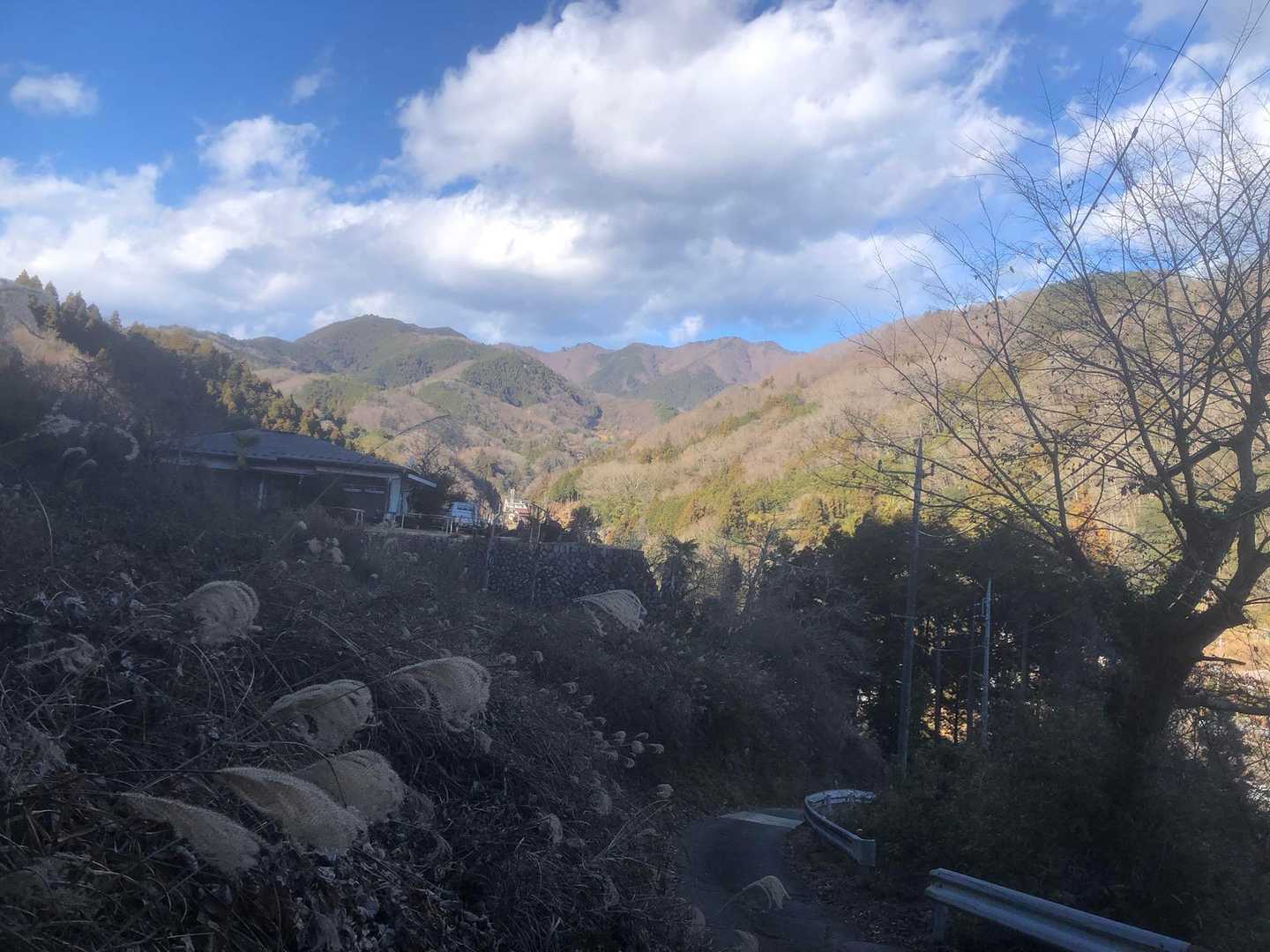里山もいいね