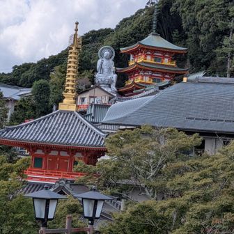 広い〜