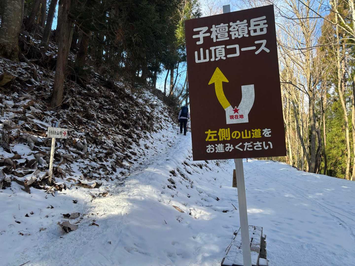 ここからチェンスパ装着しました
そういえば雪の子檀嶺は初めてだなぁ〜