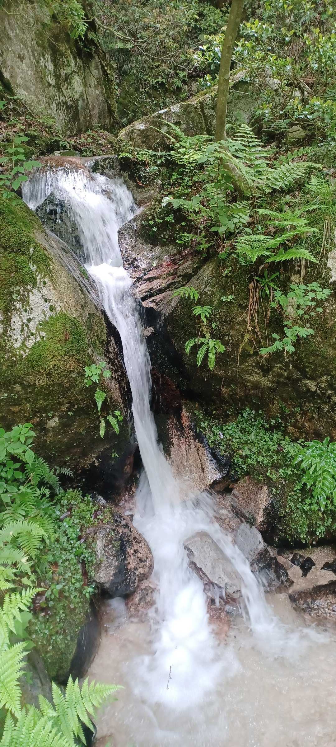 釈迦岳 周回コースの写真