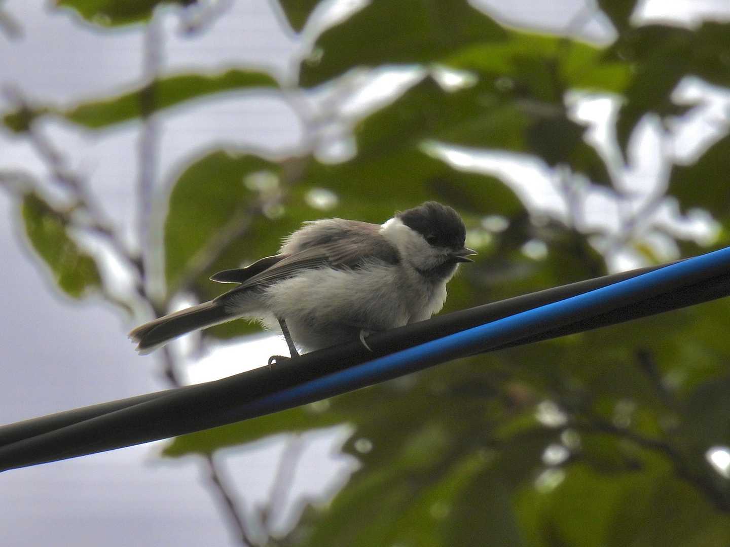 モフモフです☺️