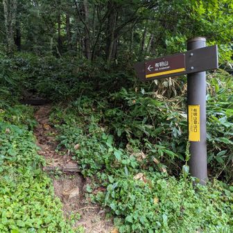 無事に下山できて良かった😅