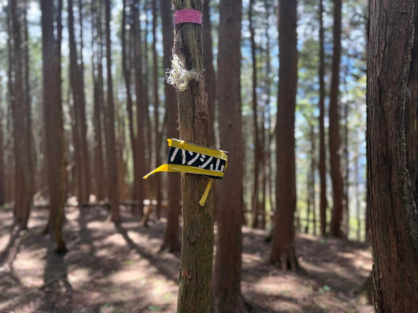 
　　　　　　　最後のピークはハンシ山

