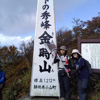 山頂に着く頃に雲が出始め、富士山は写らず。お決まりの「まさかり担ぎポーズ」で。