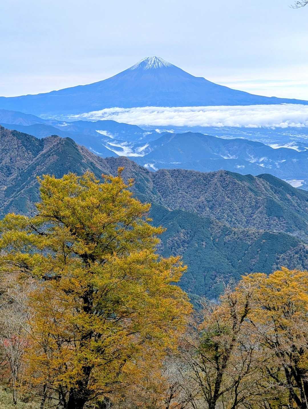 うつろぎ山-細島峠-仏谷山-地蔵峠入口 周回コースの写真