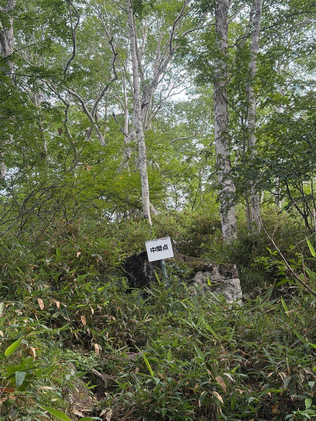 中間地点