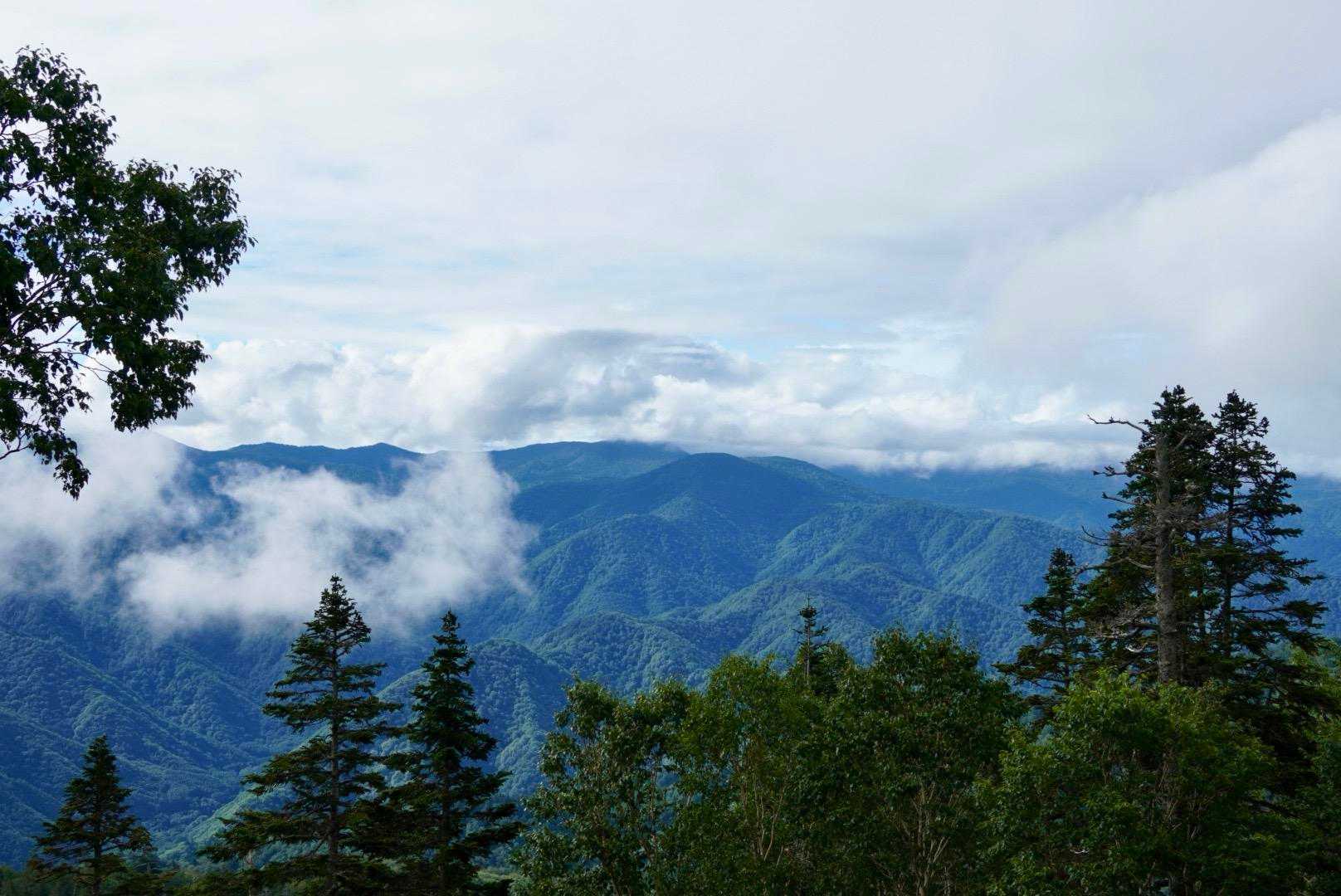 滝沢登山口-駒ノ大池-会津駒ヶ岳 往復コースの写真