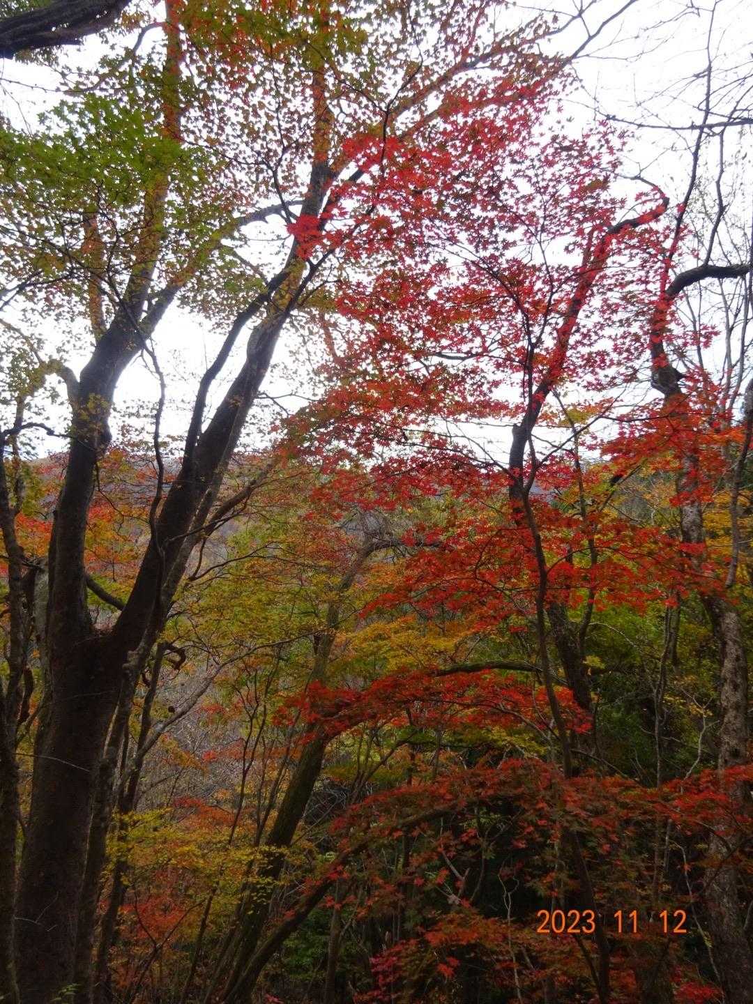 小野岳 往復コースの写真