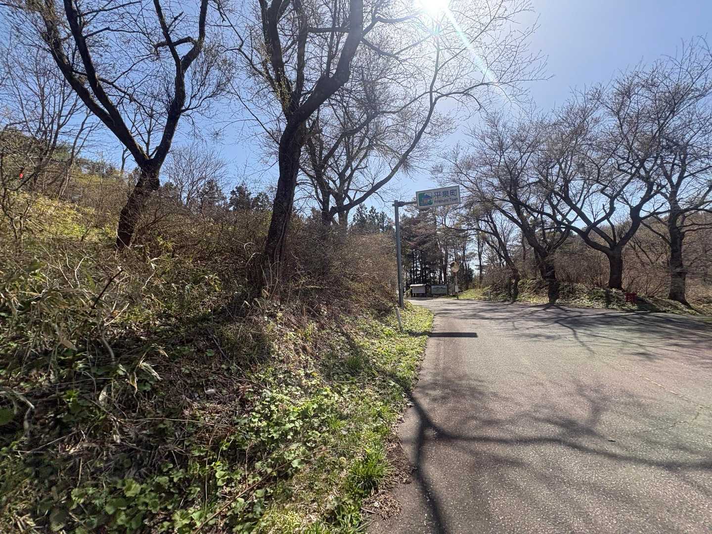 道路に出ました