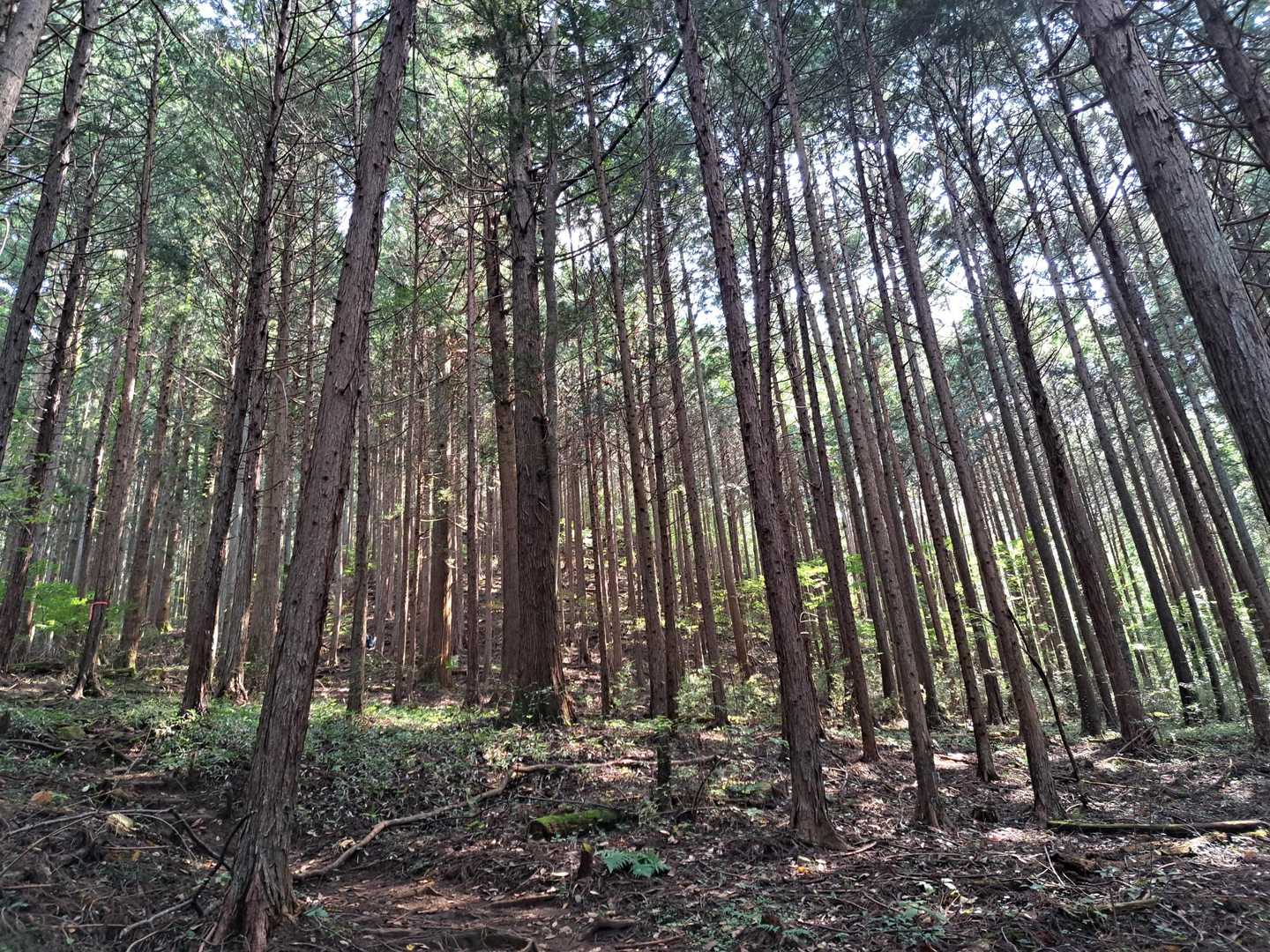下山