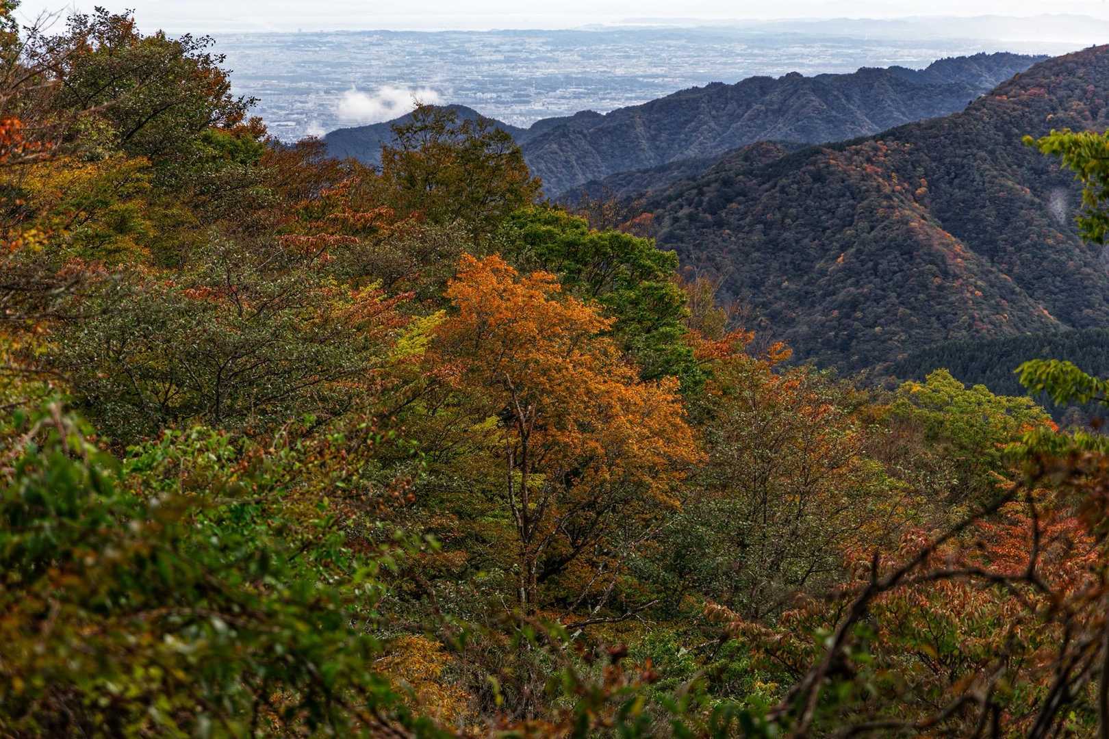 焼山登山口バス停-焼山-姫次-蛭ヶ岳-鬼ヶ岩ノ頭-不動ノ峰 縦走コースの写真