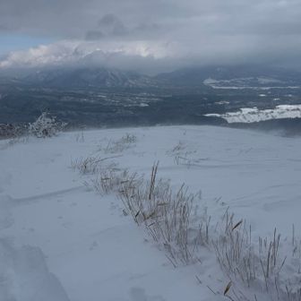 風が強くてゆっくり休憩する気にもなれず速攻下山となりました