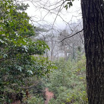 ちょっと先に進みまーす