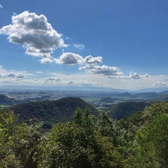 南側の景色✨