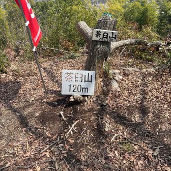 茶臼山山頂💪(120m)