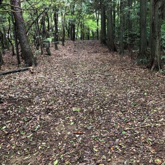 道幅○メートル道路みたいに広々🚗🚓登山道