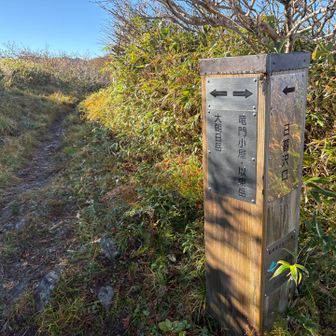 竜門山付近の分岐