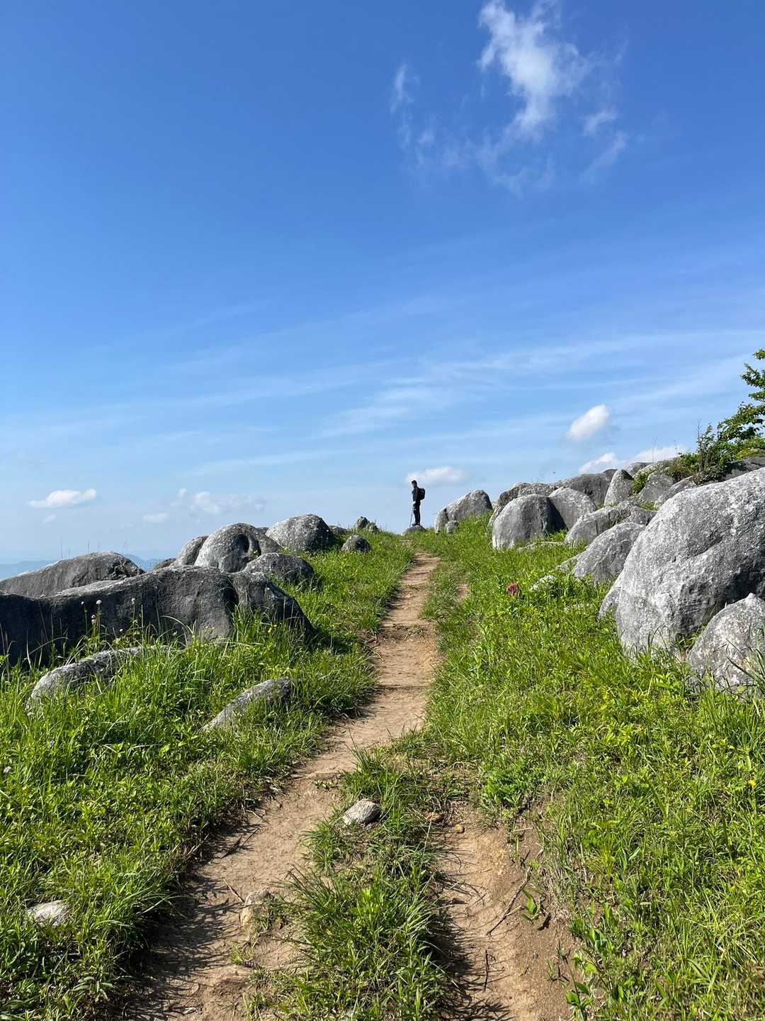 大平山 往復コースの写真