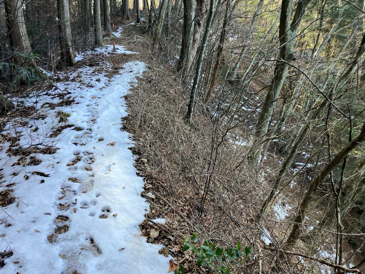 登山家には誰にも会いませんでした