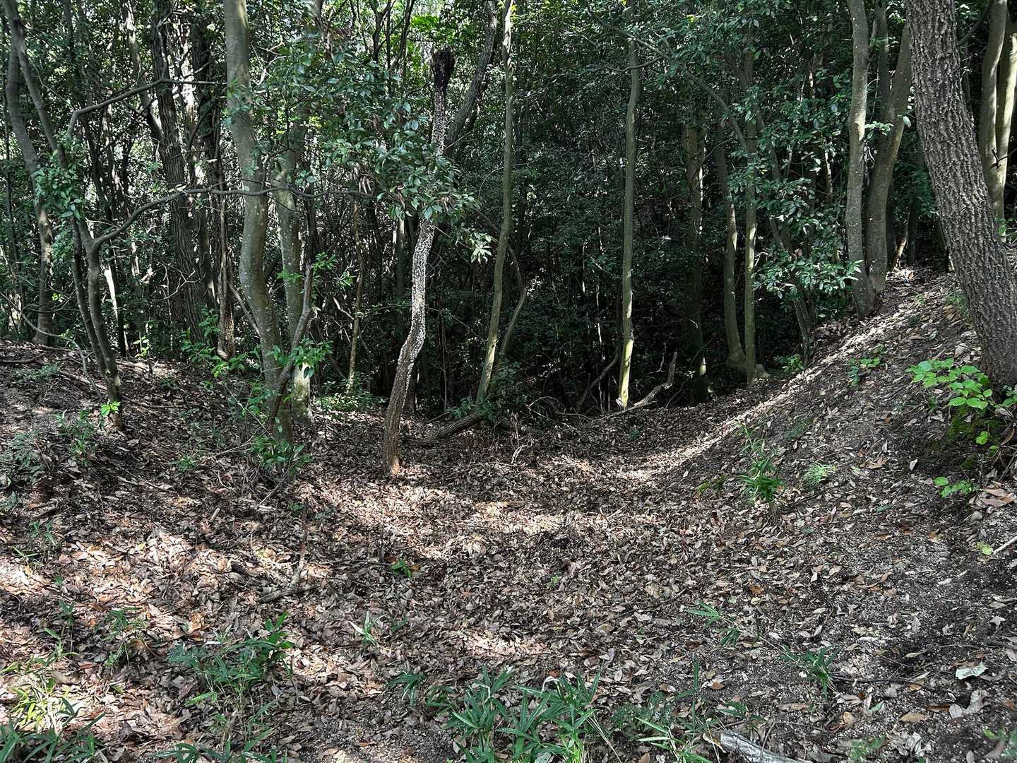 空堀跡
城跡だからこんなのもありますねー🏯