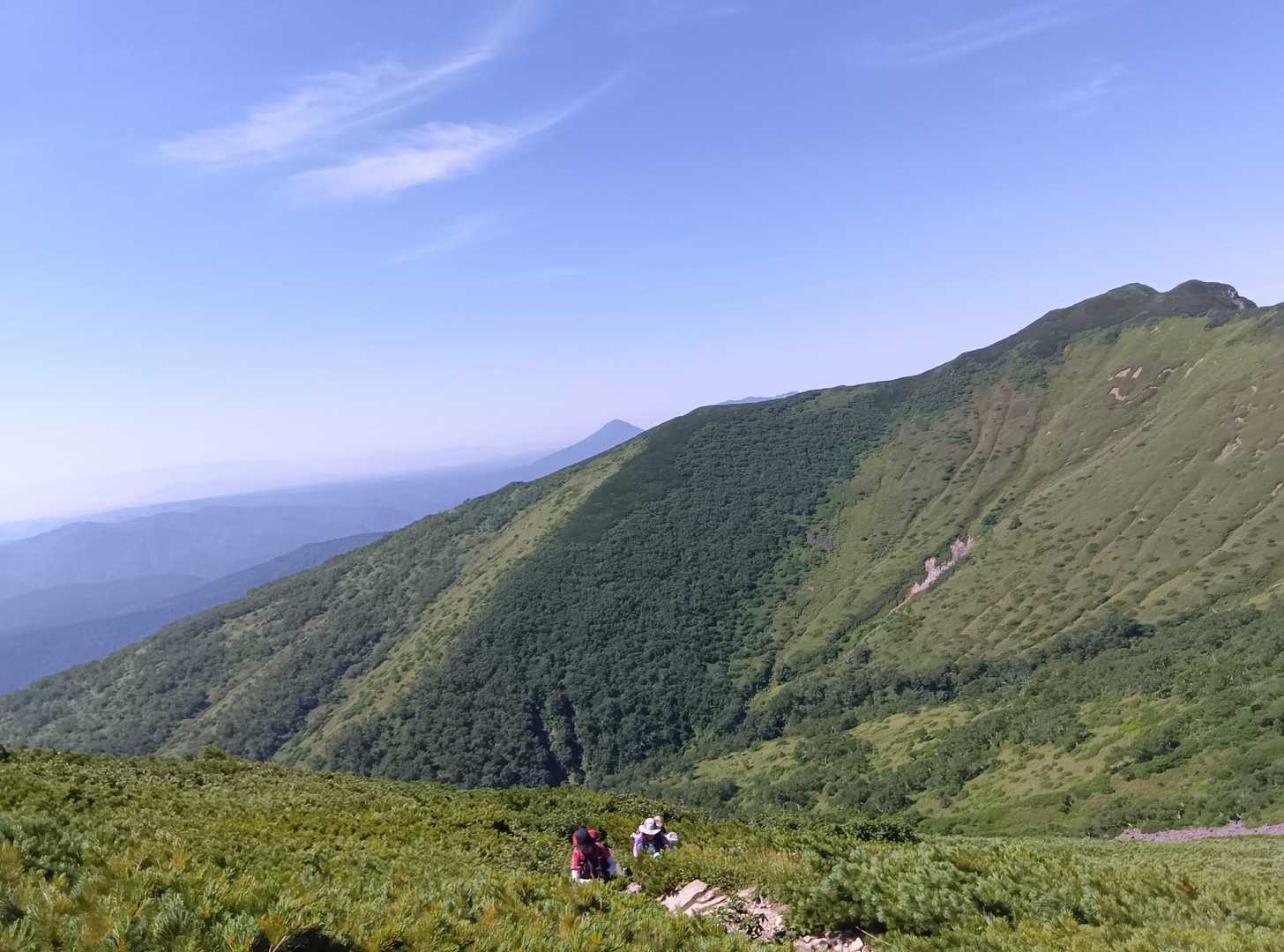 トムラウシ短縮コース登山口-前トム平-トムラウシ山 往復コースの写真