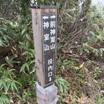 分岐