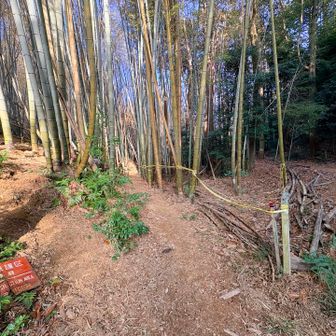 改めて 右の道をいきます