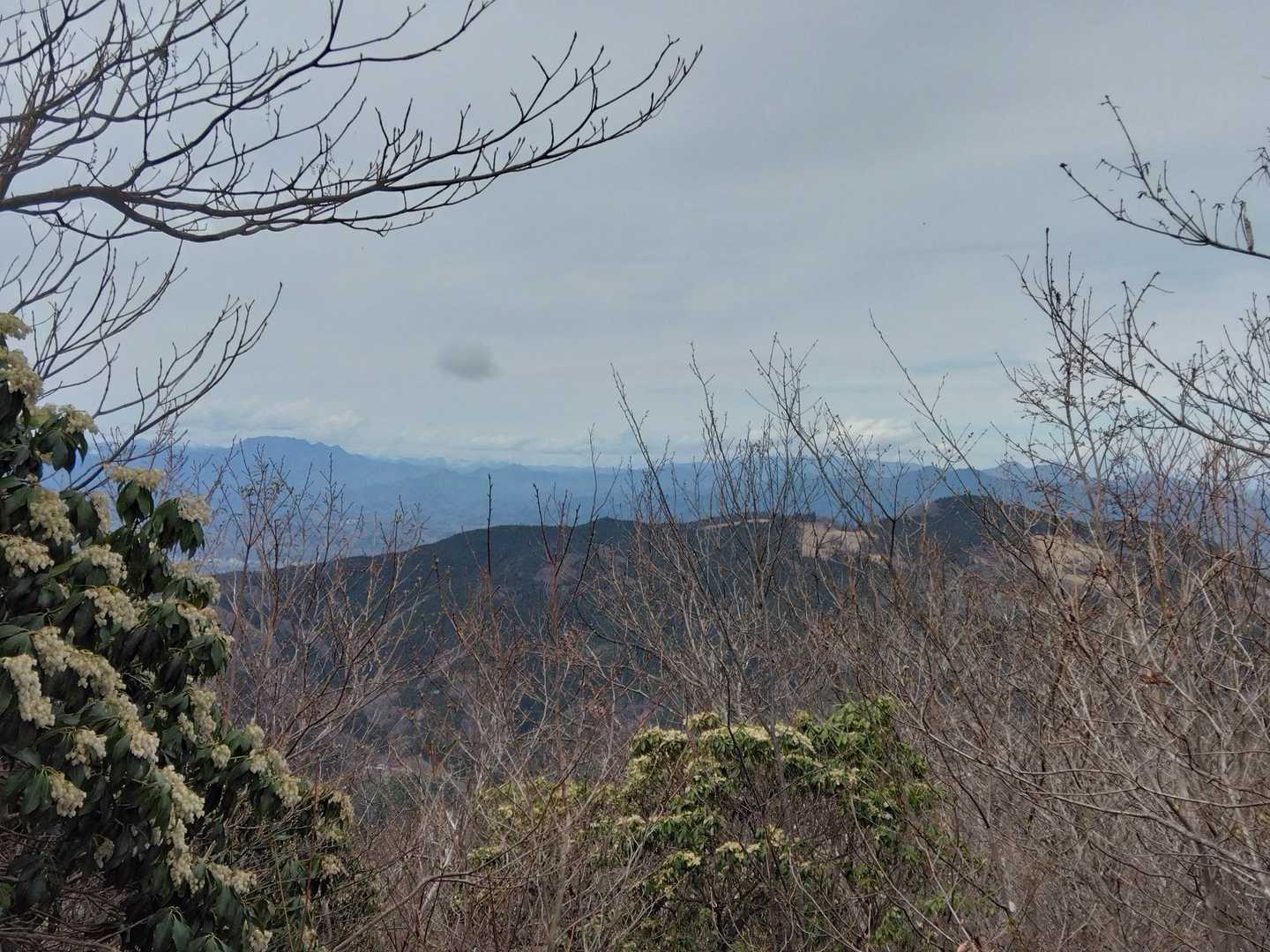 アセビの園(勝手に命名)から
左手奥にふと覗くのは…
分かりやすい“両神山”だね😄