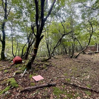 はい、到着🪧デポザックが置いてある。