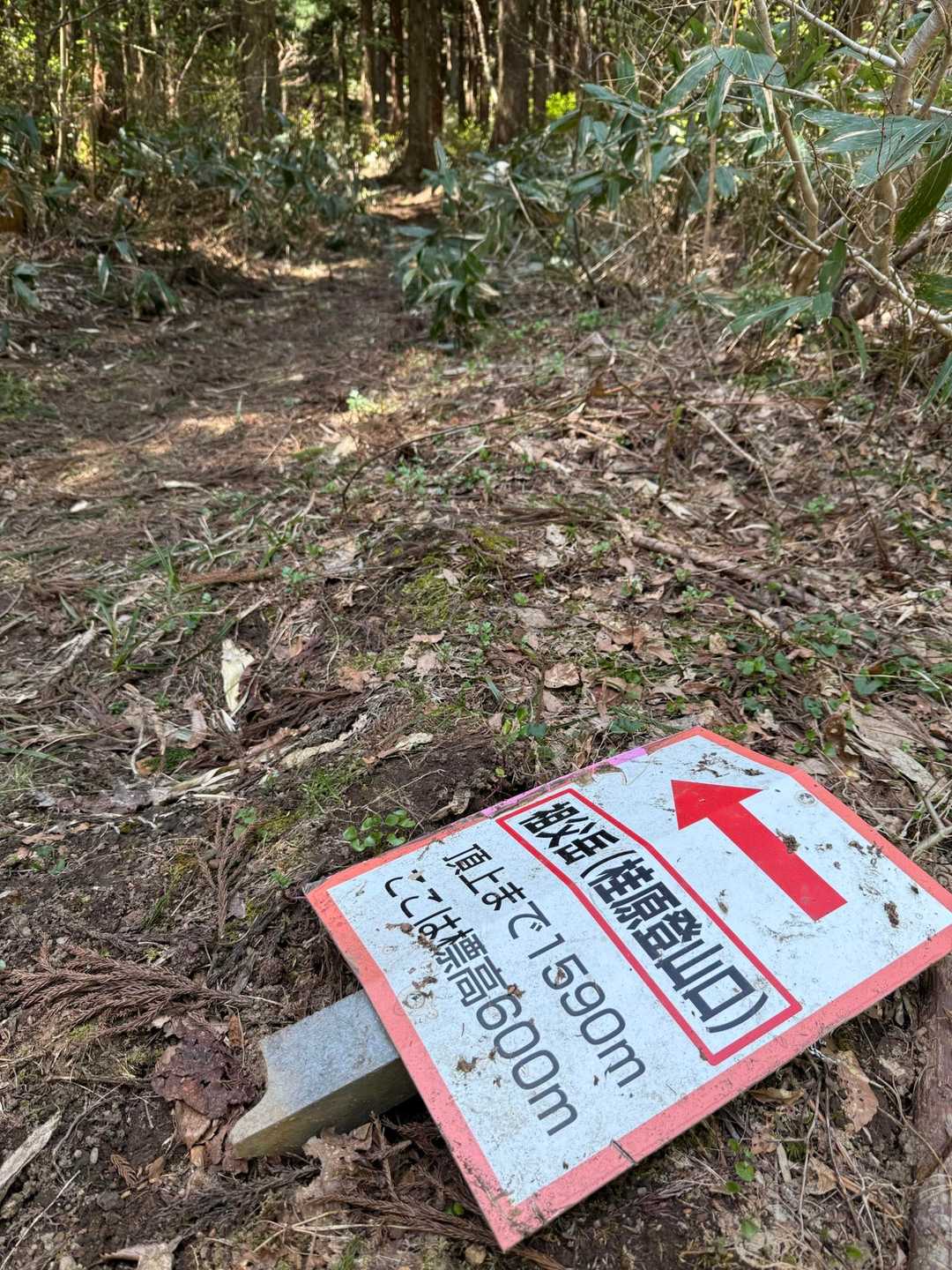 桂原登山口からスタート✊