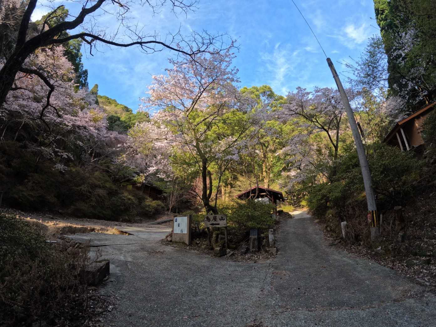 鳥屋山 往復コースの写真