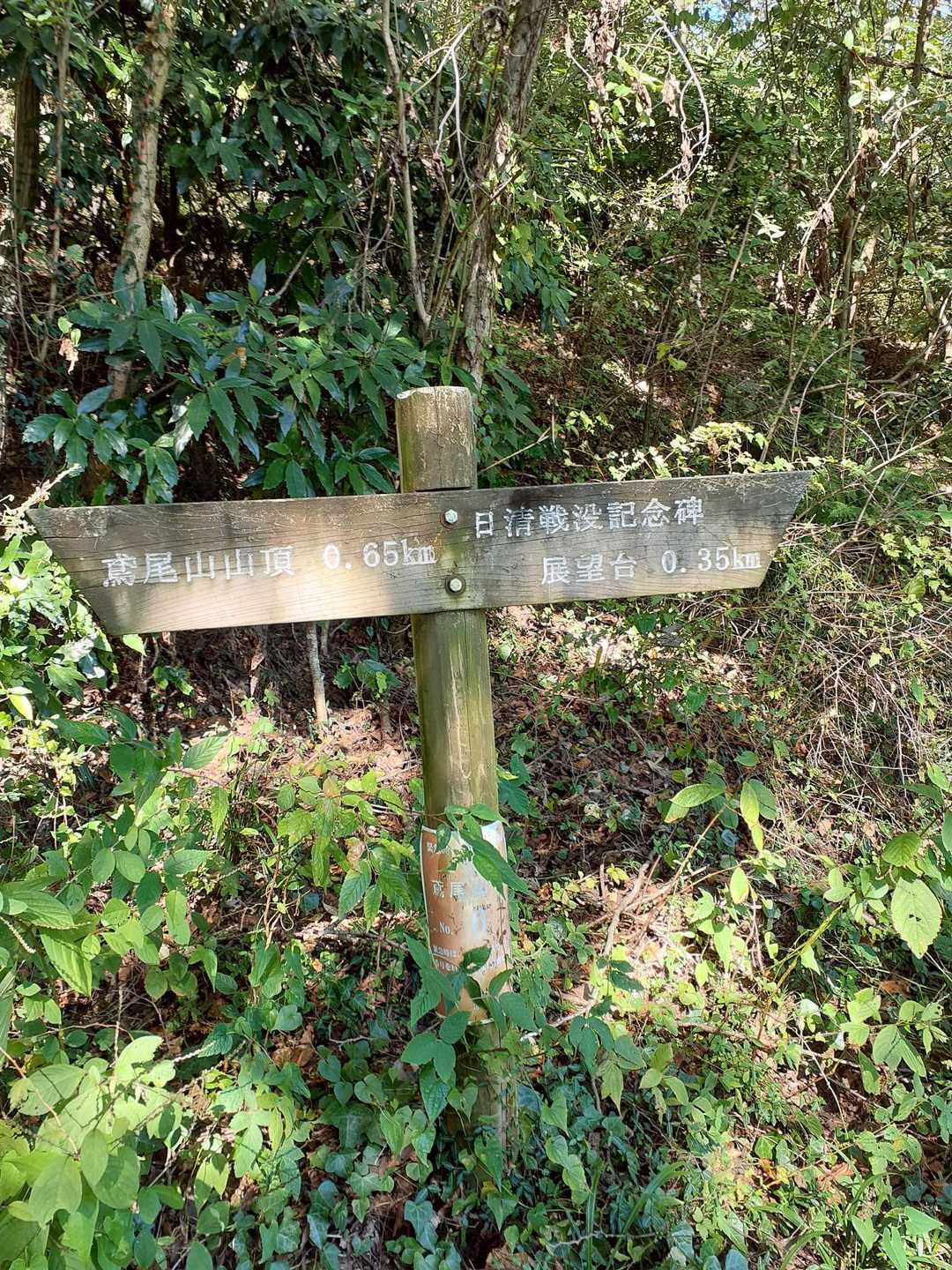 ここに出ました
また、山道に戻り下山します