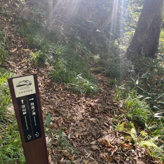 YAMAPマップポイントから滝は見れません。音だけです。