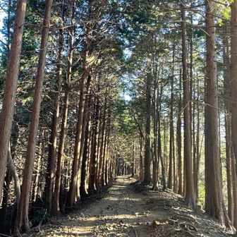 なんとか歩けたました
