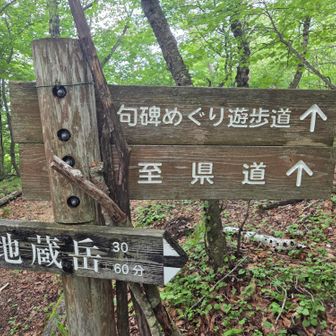 句碑めぐり遊歩道で戻ります