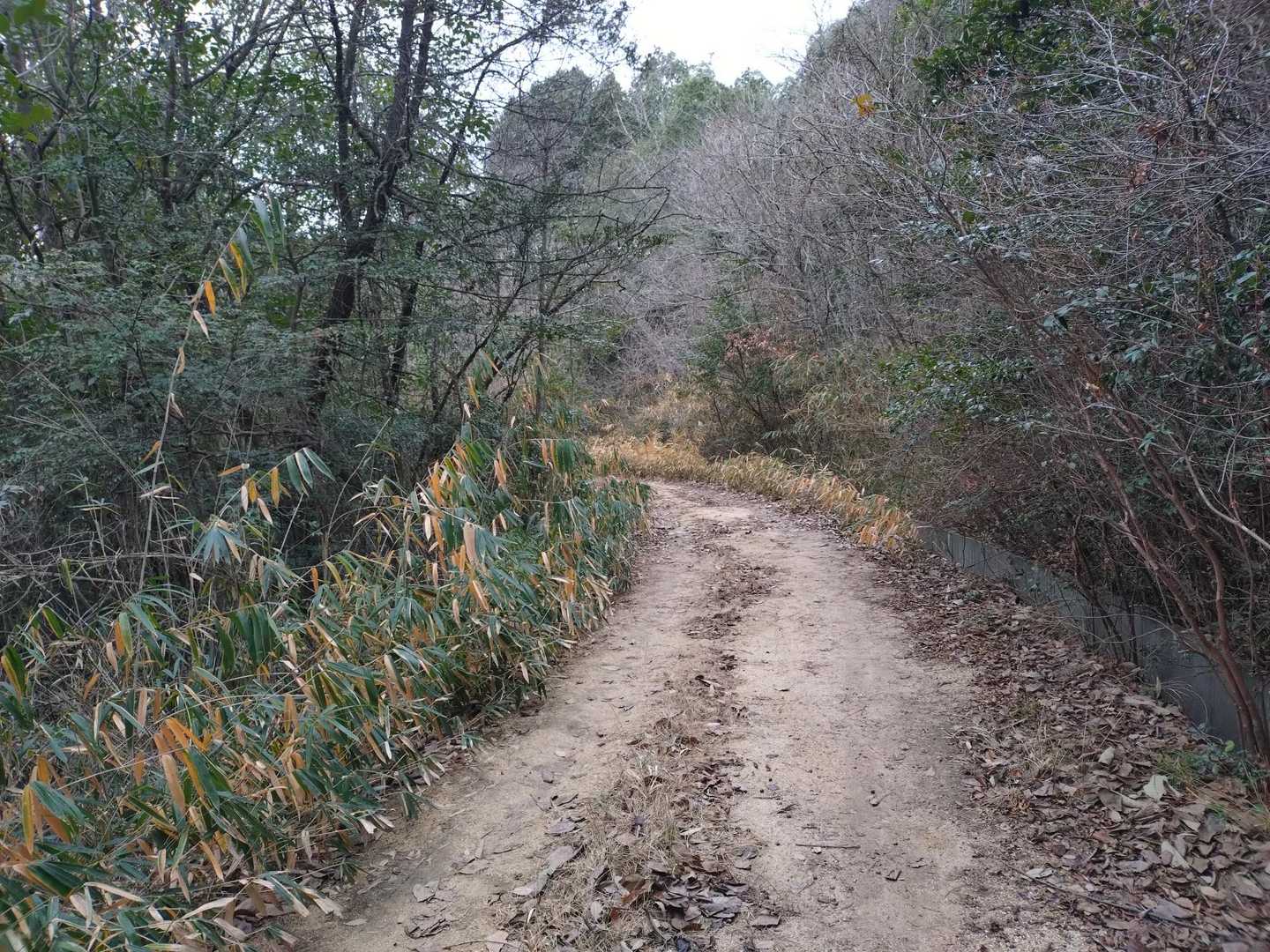 こっちかなーと思ったら…違った。
こちらは帰りに通る予定の道でした。
…ちょいと戻りますが、、